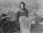 Free Picture of Female Cotton Picker