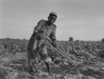 Free Picture of African American Sharecropper Boy