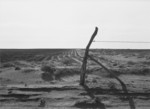 Free Picture of Fence in Dust Bowl