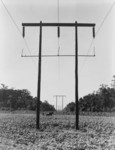 Free Picture of Rural Electrification in Pulaski County