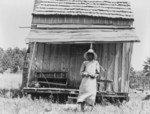 Free Picture of Sharecropper