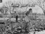 Free Picture of People Gardening