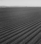 Free Picture of Large Scale Commercial Agriculture