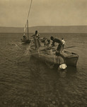 Free Picture of Men Fishing, Lake Tiberias