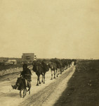 Free Picture of Camel Train Headed Towards Bethlehem