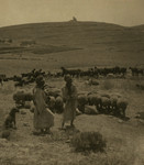 Free Picture of Battlefield of Bethzur