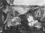 Free Picture of Eskimo Hut Interior