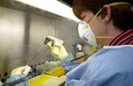 Free Picture of Deborah Cannon of the Special Pathogens Branch Processing SARS Specimens