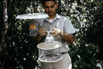 Free Picture of Field Researcher Detaching a Collection Bag from a Light Trap Full of Mosquitoes