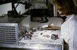 Free Picture of Laboratory Technician Sorting and Counting Mosquitoes Used in an Arbovirus Study