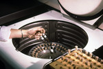 Free Picture of Lab Technician Placing a Previously Created Mosquito Suspension into a Centrifuge During an Arbovirus Study