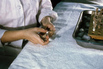 Free Picture of Laboratory Technician Labeling Vials of Mosquito Suspension During an Arbovirus Study