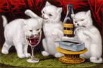 Free Picture of White Cats Drinking Wine