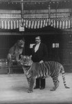 Free Picture of Man With Lion and Tiger