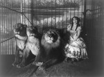 Free Picture of Adgie in Cage With 3 Lions