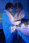 Free Picture of Laboratory Worker Pipetting Specimens During a Lab Experiment