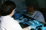 Free Picture of Lab Technician Marking Specimens During A Chicken Egg Inoculation Experiment