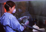 Free Picture of Scientist Working Under a Biohazardous Material Ventilated Filtration Hood
