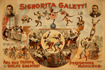 Free Picture of Signorita Galetti And Monkeys