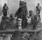 Free Picture of Monkeys and Bear Playing Instruments