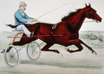 Free Picture of Trotting mare Nancy Hanks