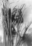 Free Picture of Woman Behind Cattails