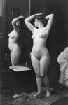 Free Picture of Nude Woman By Mirror