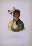 Free Picture of Chippewa Chief No-Tin