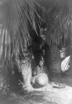 Free Picture of Cahuilla Woman Under Palms