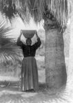 Free Picture of Cahuilla Woman With Basket on Her Head