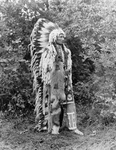 Free Picture of Chief Umapine
