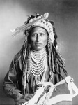 Free Picture of Heebe-tee-tse, Shoshone Indian