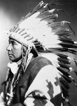 Free Picture of Sego, Shoshone Indian