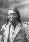 Free Picture of Chief White Crow