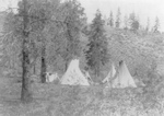 Free Picture of Tipis Under Trees