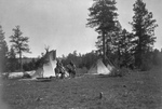 Free Picture of Camp of the Root Diggers