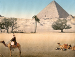 Free Picture of Bedouins by the Pyramids of Giza