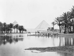 Free Picture of Palms Framing the Pyramids of Giza