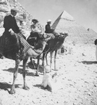 Free Picture of Men and Camels by the Pyramids