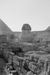 Free Picture of The Sphinx at Giza