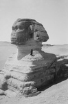 Free Picture of Great Sphinx, Cairo, Egypt