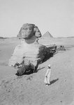 Free Picture of Egyptian Pyramids and Great Sphinx, Egypt