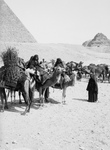 Free Picture of Bedouin Caravan at the Egyptian Pyramids