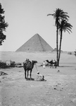 Free Picture of Great Pyramid and Sphinx in Giza