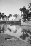 Free Picture of Native Village, Palm Trees and Egyptian Pyramids