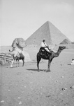Free Picture of Men on Camels at Giza