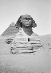 Free Picture of Front View of the Sphinx at Giza