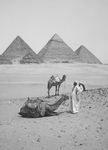Free Picture of Resting Camels and Men Near the Egyptian Pyramids
