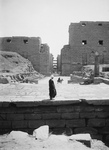 Free Picture of Avenue of Sphinxes, Karnak