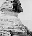 Free Picture of The Great Sphinx